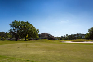 stone creek golf green