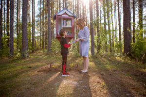 stone creek little free library